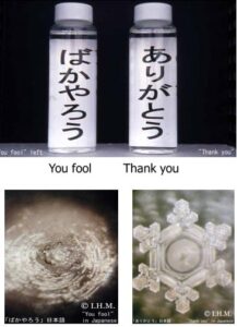Dr. Masaru Emoto's Experiment shows that different words and their intention effect crystals
