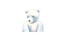 HADO BEAR'S WISE WORDS